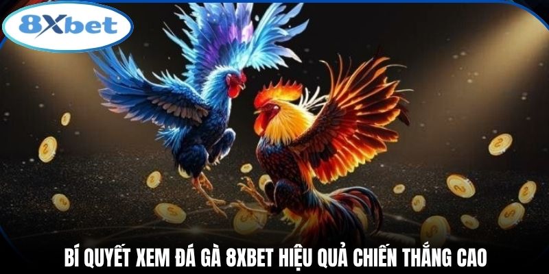 Bí quyết xem đá gà 8xbet hiệu quả chiến thắng cao
