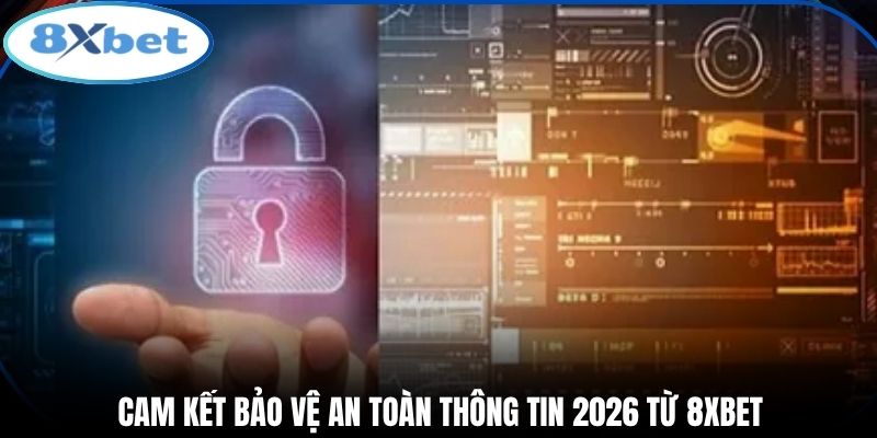 Cam kết bảo vệ an toàn thông tin 2026 từ 8xbet