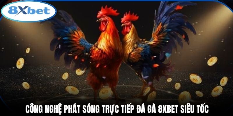 Công nghệ phát sóng trực tiếp đá gà 8xbet siêu tốc
