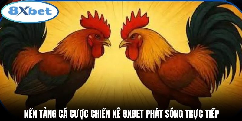 Nền tảng cá cược chiến kê 8xbet phát sóng trực tiếp